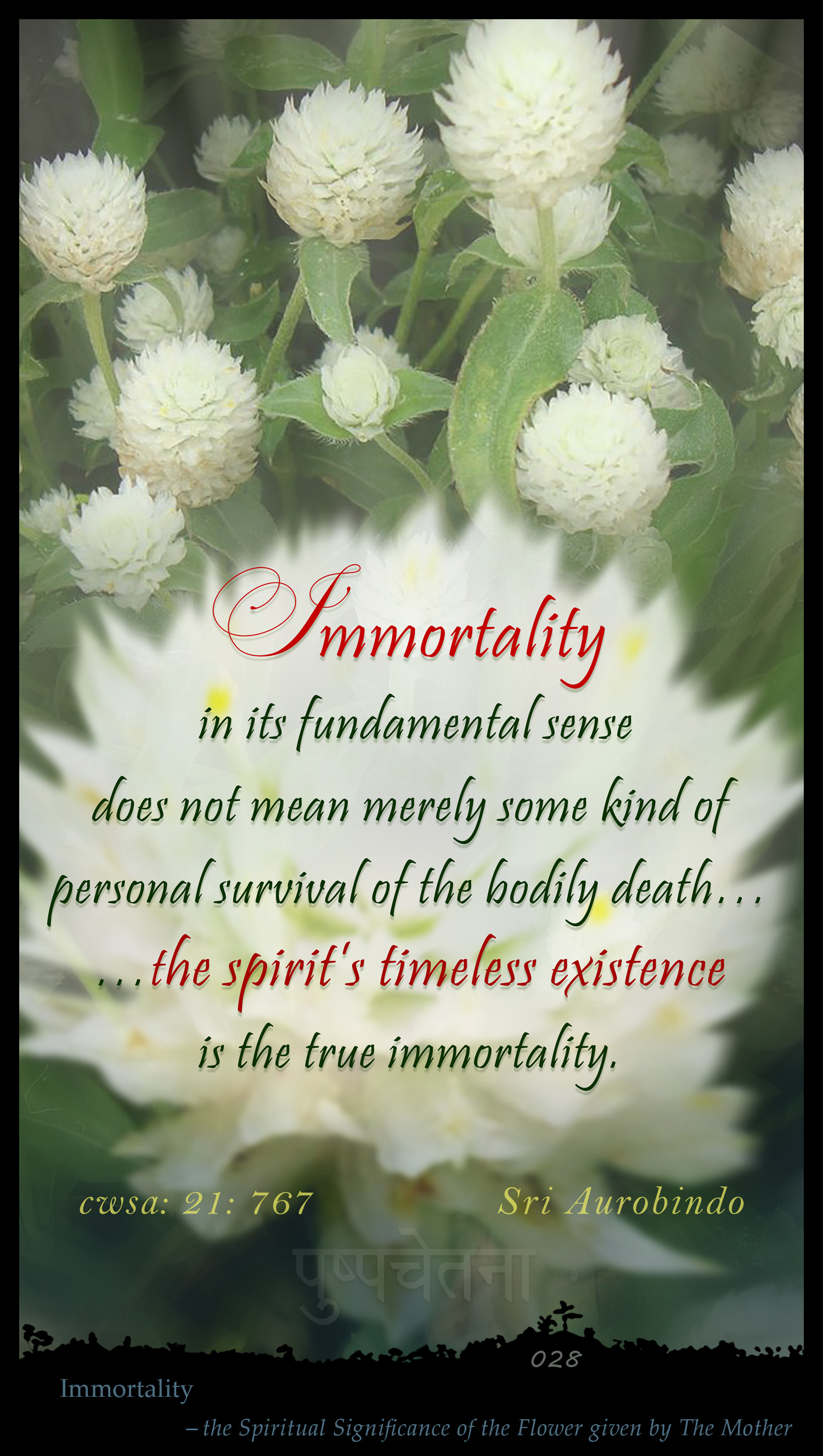 Immortality